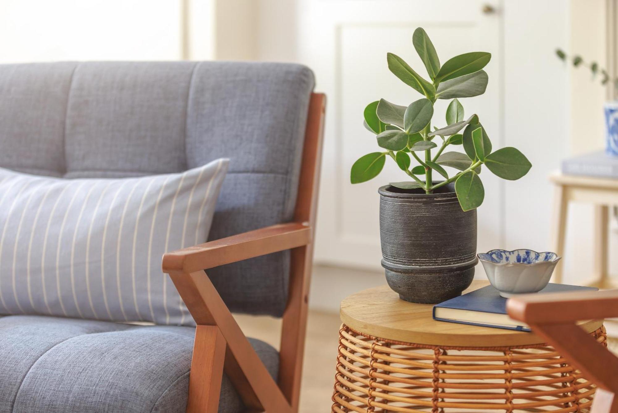 Ocean City Stylish Apartment Plymouth Bagian luar foto